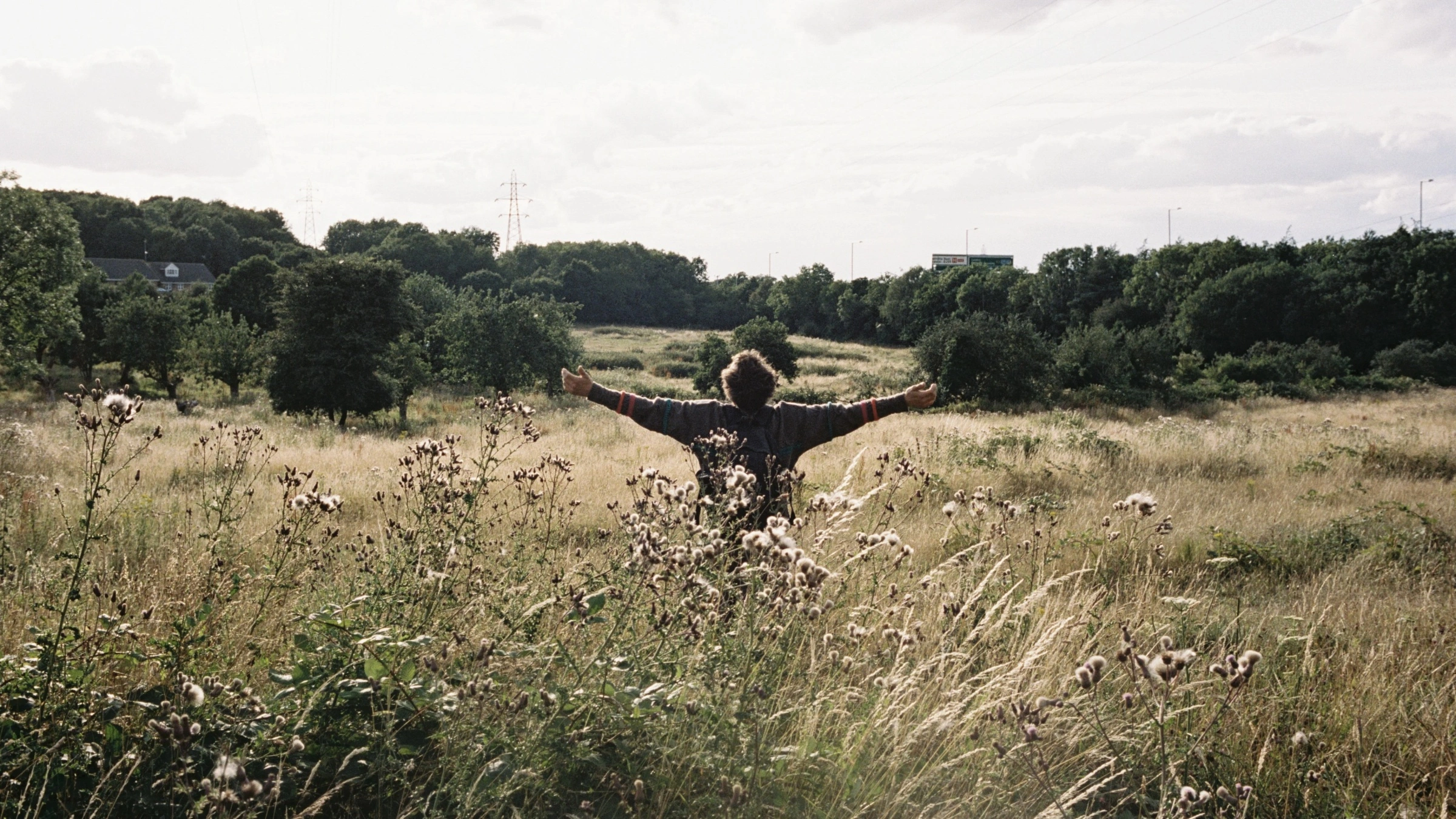Bird (2024) Andrea Arnold