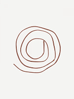 n°242 cord clay