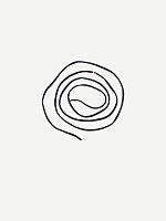 n°242 cord