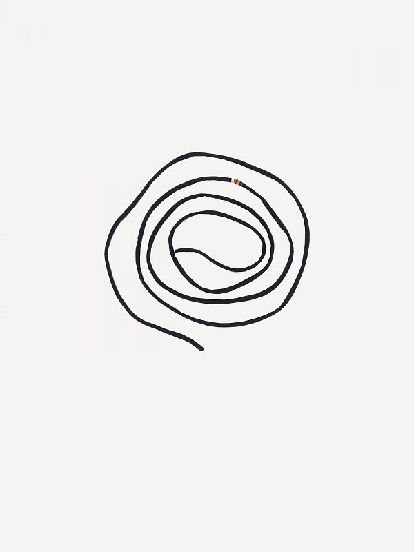 n°242 cord