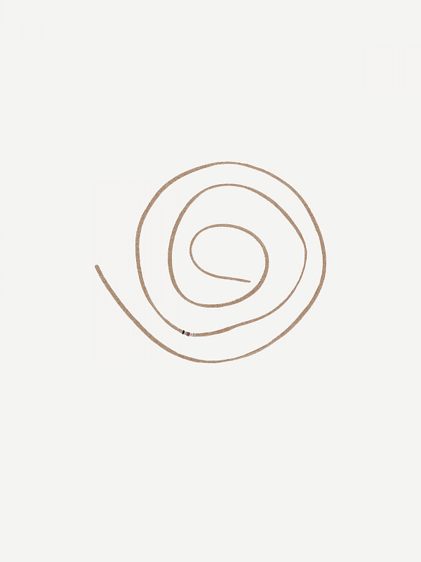 n°242 cord